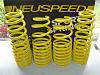 Neuspeed Race Springs for 1996-2000 Civics-1107_small.jpg