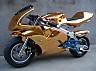 Name:  goldpocketbike.jpg
Views: 7
Size:  2.6 KB