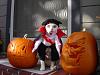 Happy Halloween! Cute costumes!-mime-attachment-16.jpeg